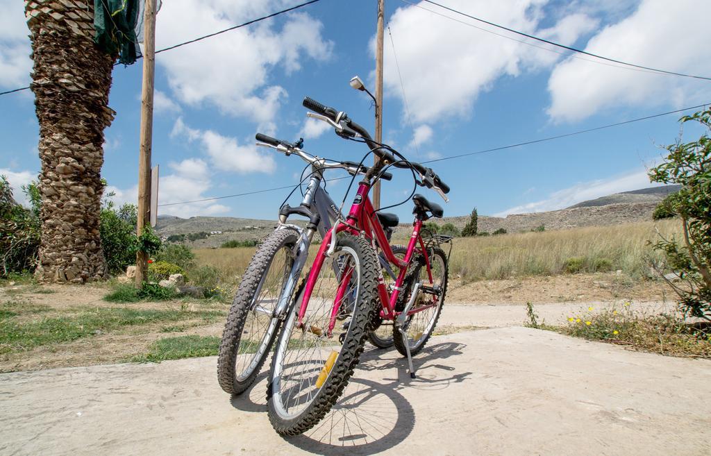 Dimitra Apartments Zakros City מראה חיצוני תמונה